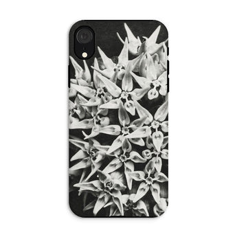 Asclepias Speciosa - Karl Blossfeldt Iphone Case, Xr / Matte, Phone Case Black White Floral Design Star-shaped Blossoms