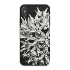 Asclepias Speciosa Karl Blossfeldt Iphone Case, Xs / Matte, Phone Case Black White Photograph Clustered Star Shaped Flowers