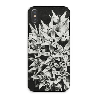 Asclepias Speciosa - Karl Blossfeldt Iphone Case, Xs / Matte, Phone Case Black White Photograph Clustered Star-shaped Flowers