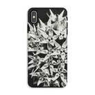 Asclepias Speciosa Karl Blossfeldt Iphone Case, Xs Max / Matte, Phone Case Black White Photograph Clustered Star Shaped Flowers