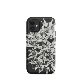 Asclepias Speciosa - Karl Blossfeldt Phone Case Iphone 12 Mini / Matte Black Phone Case Floral Design Karl Blossfeldt Photo, Monochrome