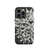 Asclepias Speciosa - Karl Blossfeldt Phone Case Iphone 13 Pro / Matte Black White Floral Phone Case Karl Blossfeldt Photo, Monochrome