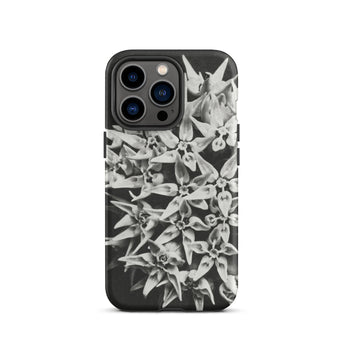 Asclepias Speciosa - Karl Blossfeldt Phone Case Iphone 13 Pro / Matte Black White Floral Phone Case Karl Blossfeldt Photo, Monochrome