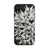 Asclepias Speciosa - Karl Blossfeldt Phone Case Iphone Xr / Matte Phone Case Black White Floral Design Star-shaped Blossoms Karl Blossfeldt