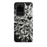 Asclepias Speciosa - Karl Blossfeldt Phone Case Samsung Galaxy S20 Ultra / Matte Black White Floral Phone Case Dense Cluster Stylized Karl