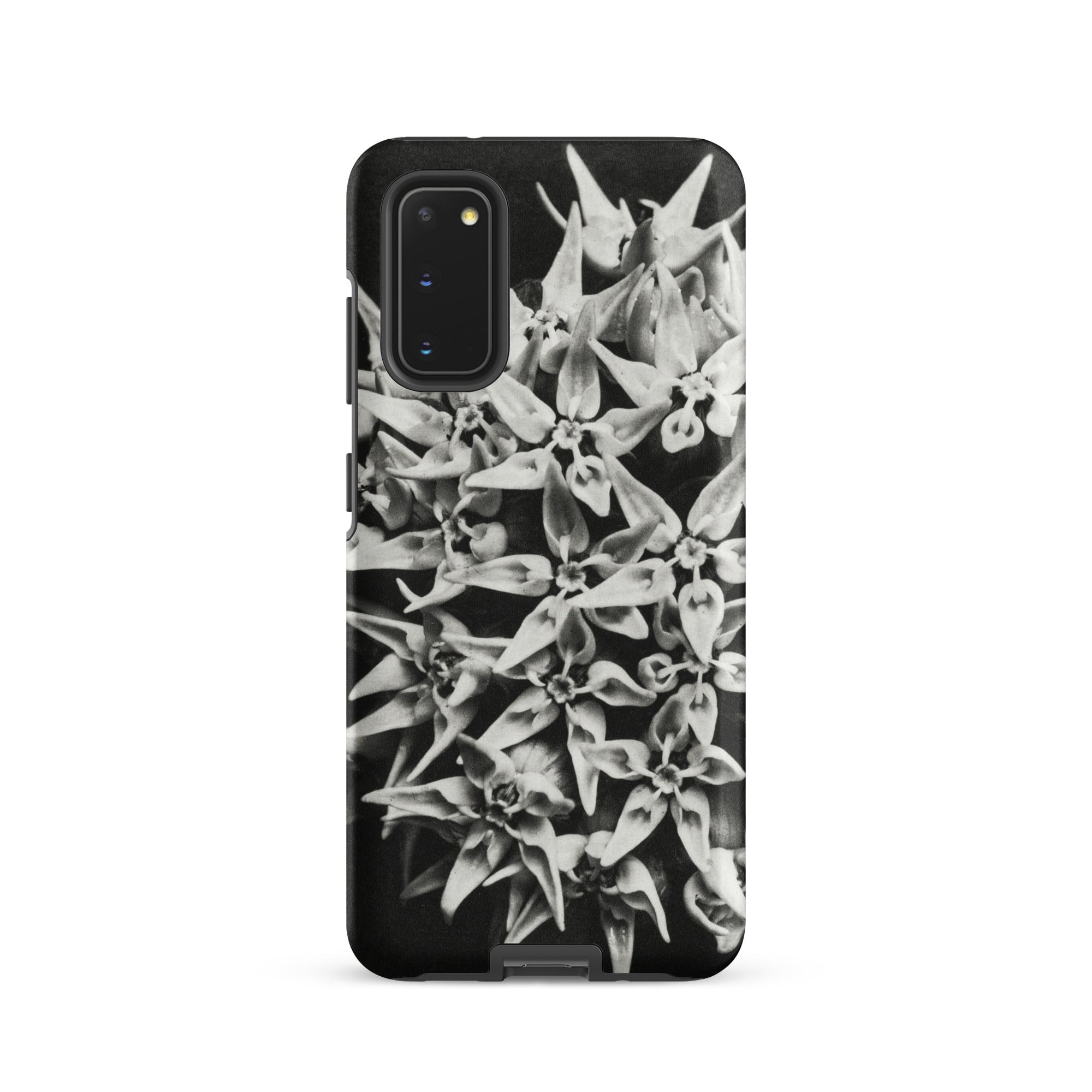 Asclepias Speciosa Karl Blossfeldt Samsung Case, Galaxy S20 / Matte, Black Smartphone Case White Floral Pattern