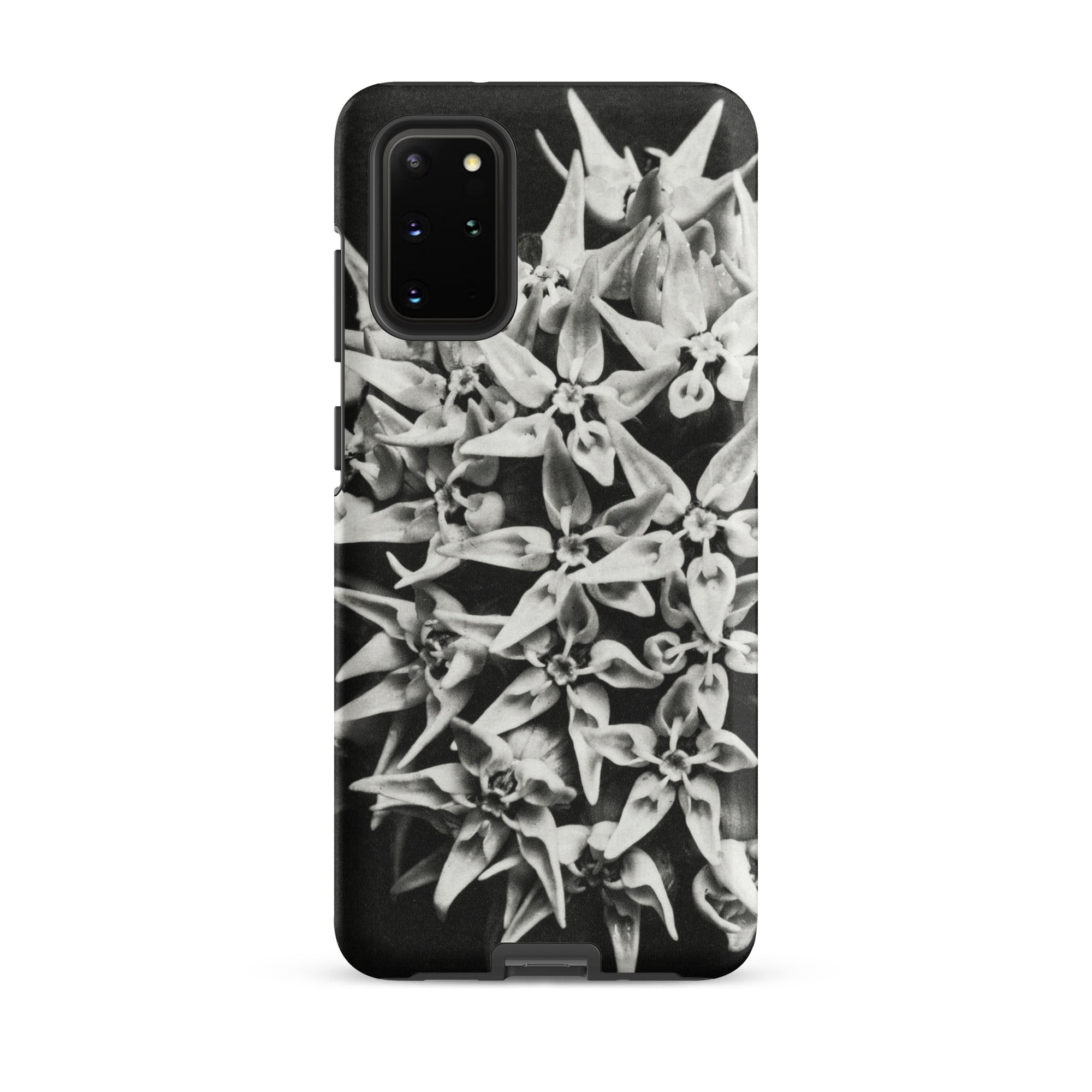 Asclepias Speciosa Karl Blossfeldt Samsung Case, Galaxy S20 Plus / Matte, Black White Floral Patterned Smartphone Case