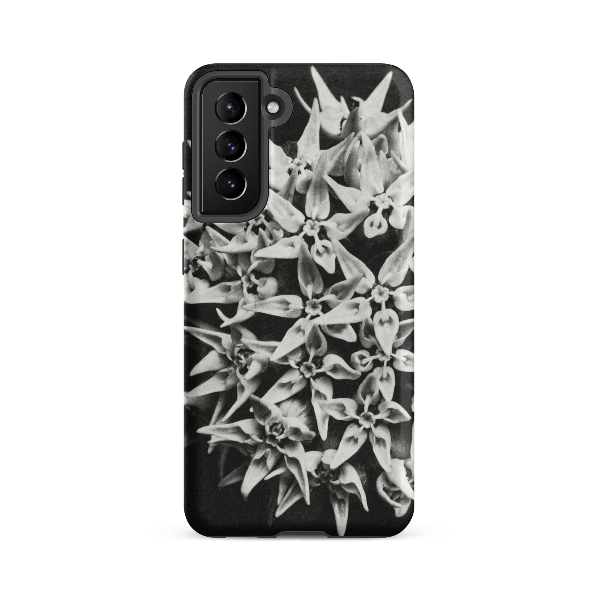 Asclepias Speciosa Karl Blossfeldt Samsung Case, Galaxy S21 Fe / Matte, Black Phone Case Monochrome Floral Pattern