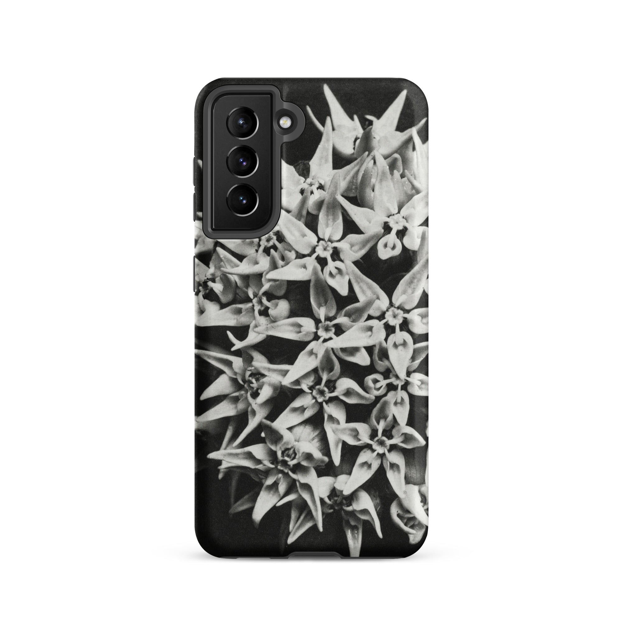 Asclepias Speciosa Karl Blossfeldt Samsung Case, Galaxy S21 / Matte, Black White Floral Patterned Smartphone Case