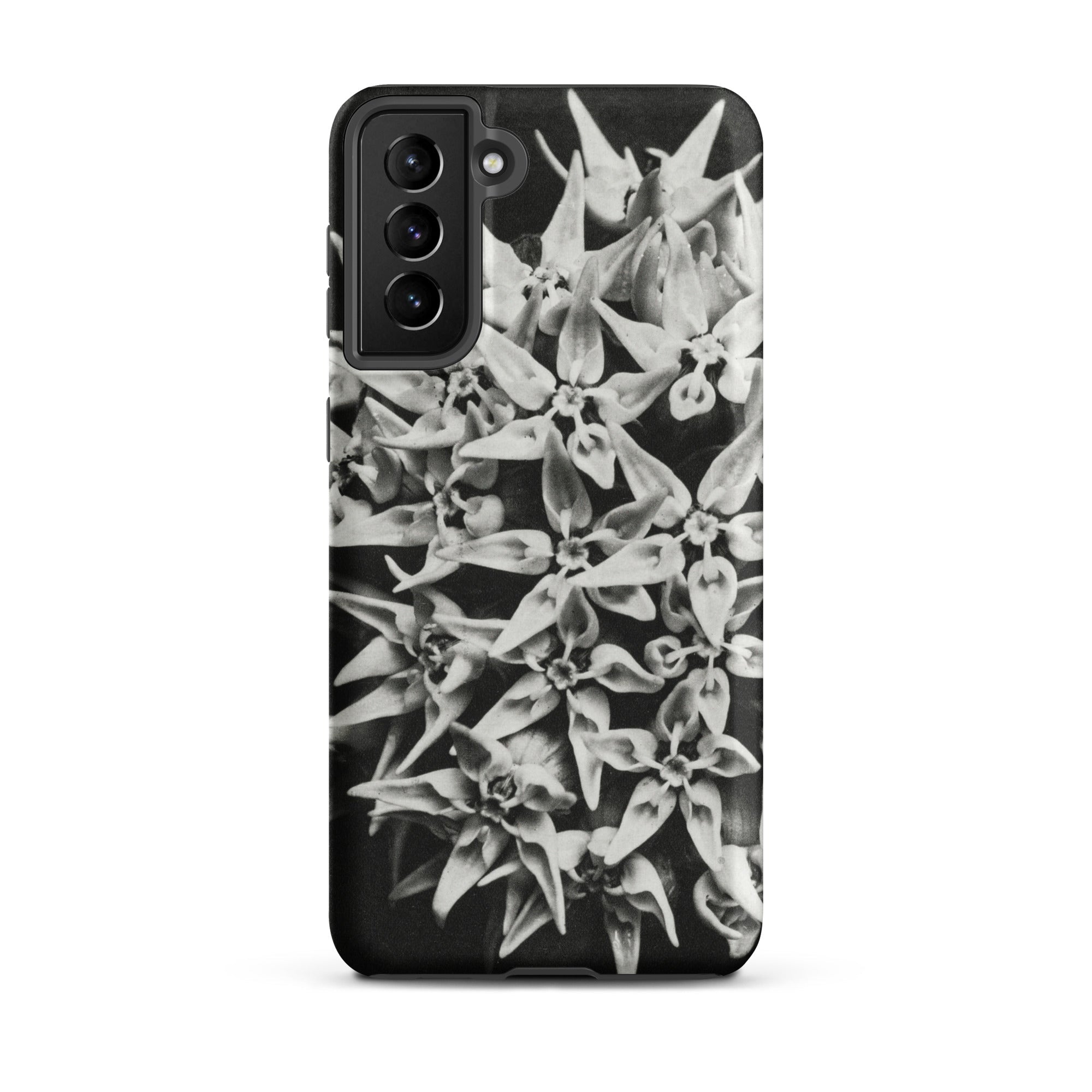 Asclepias Speciosa Karl Blossfeldt Samsung Case, Galaxy S21 Plus / Matte, Black White Floral Patterned Smartphone Case