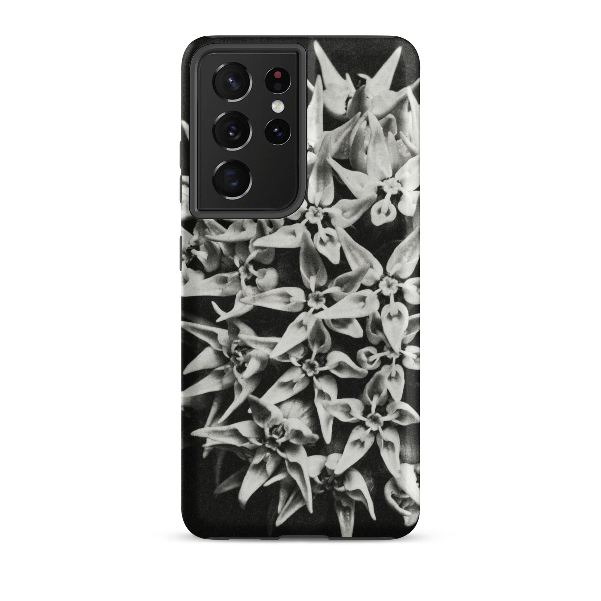 Asclepias Speciosa Karl Blossfeldt Samsung Case, Galaxy S21 Ultra / Matte, Black Smartphone Case Monochrome Floral Pattern