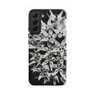 Asclepias Speciosa Karl Blossfeldt Samsung Case, Galaxy S22 Plus / Matte, Black Phone Case White Floral Pattern