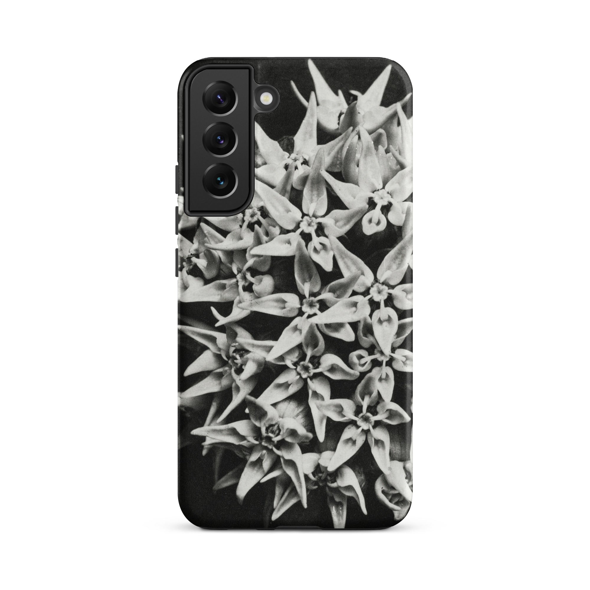 Asclepias Speciosa Karl Blossfeldt Samsung Case, Galaxy S22 Plus / Matte, Black Phone Case White Floral Pattern