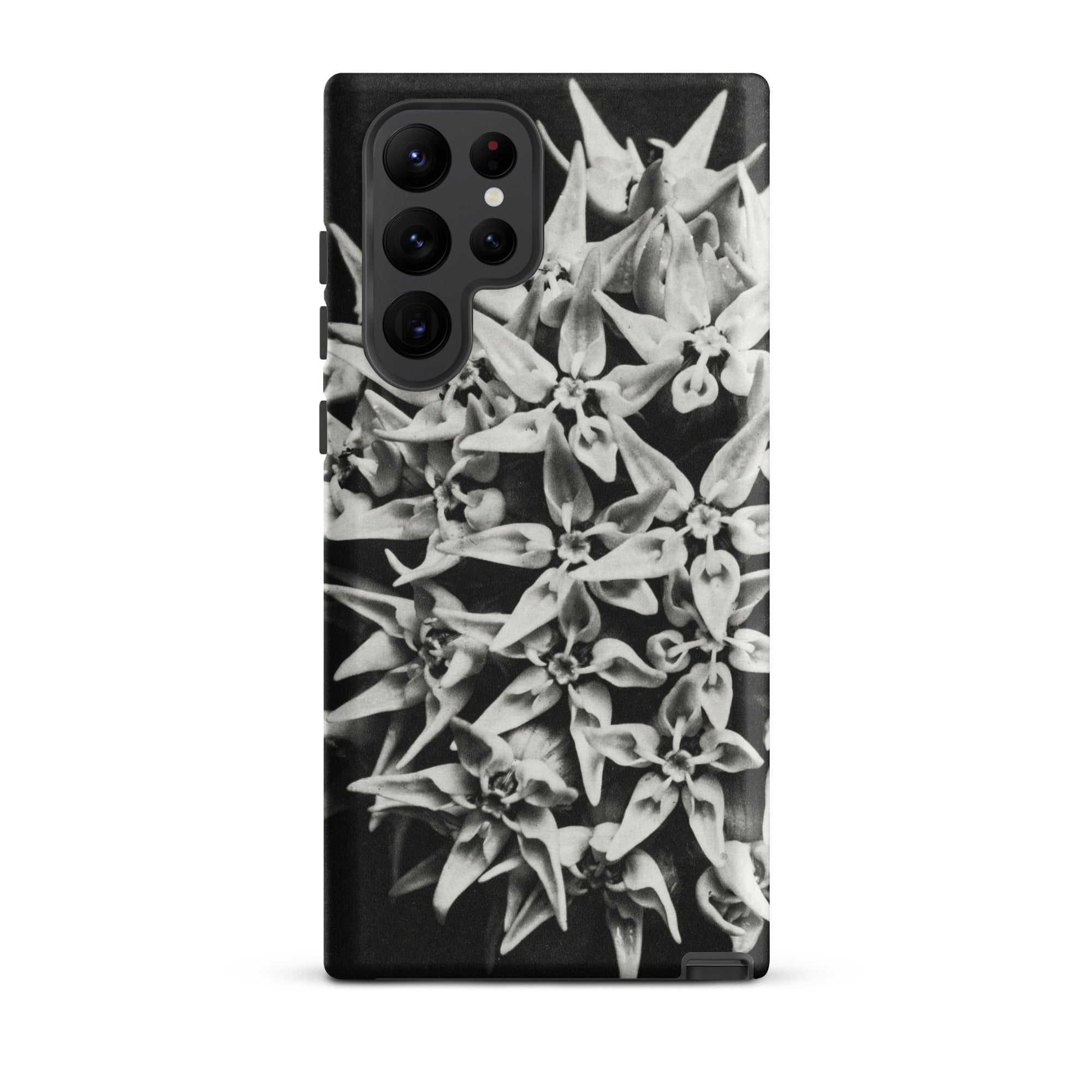 Asclepias Speciosa Karl Blossfeldt Samsung Case, Galaxy S22 Ultra / Matte, Black Smartphone Case White Floral Pattern