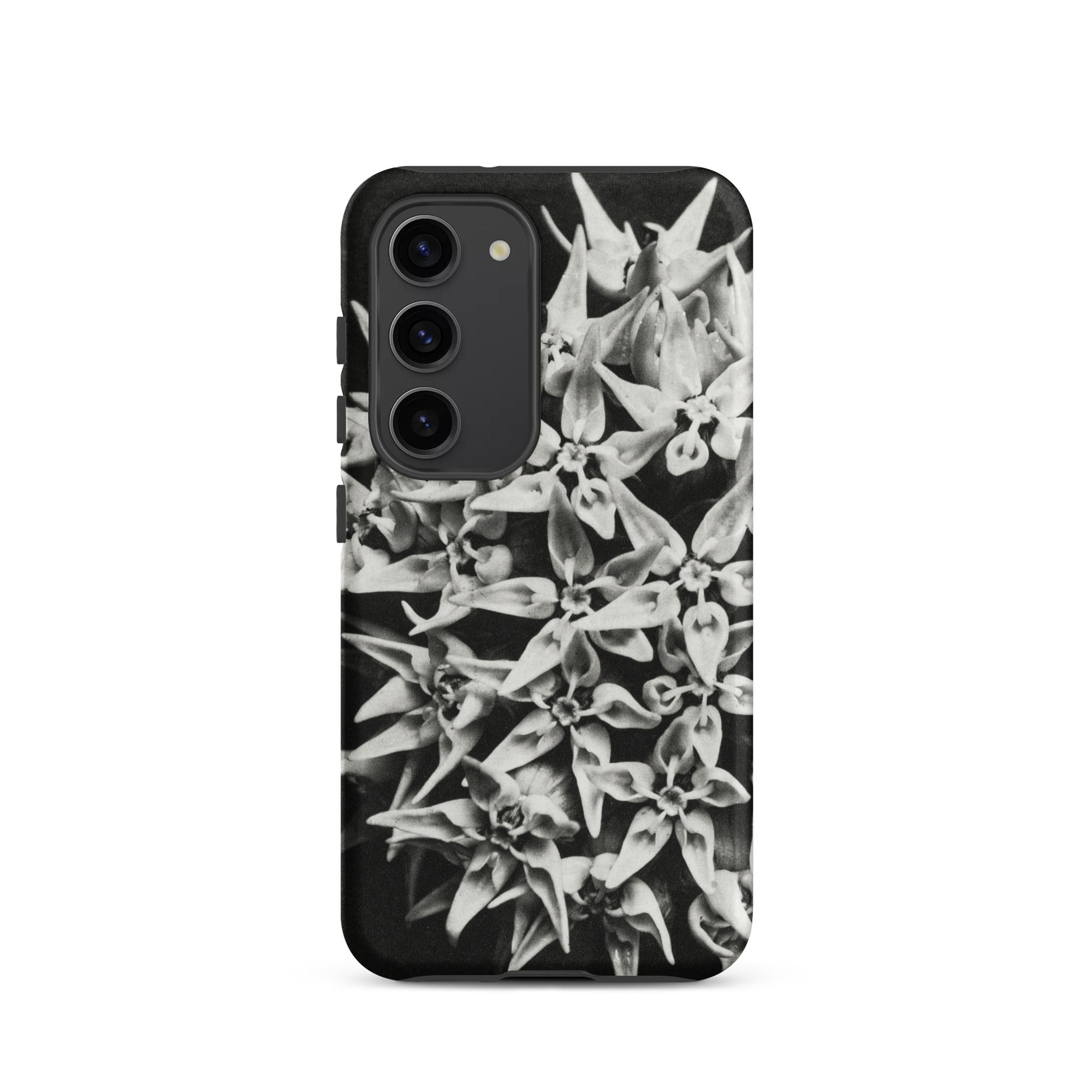 Asclepias Speciosa Karl Blossfeldt Samsung Case, Galaxy S23 / Matte, Smartphone Case Black White Floral Pattern