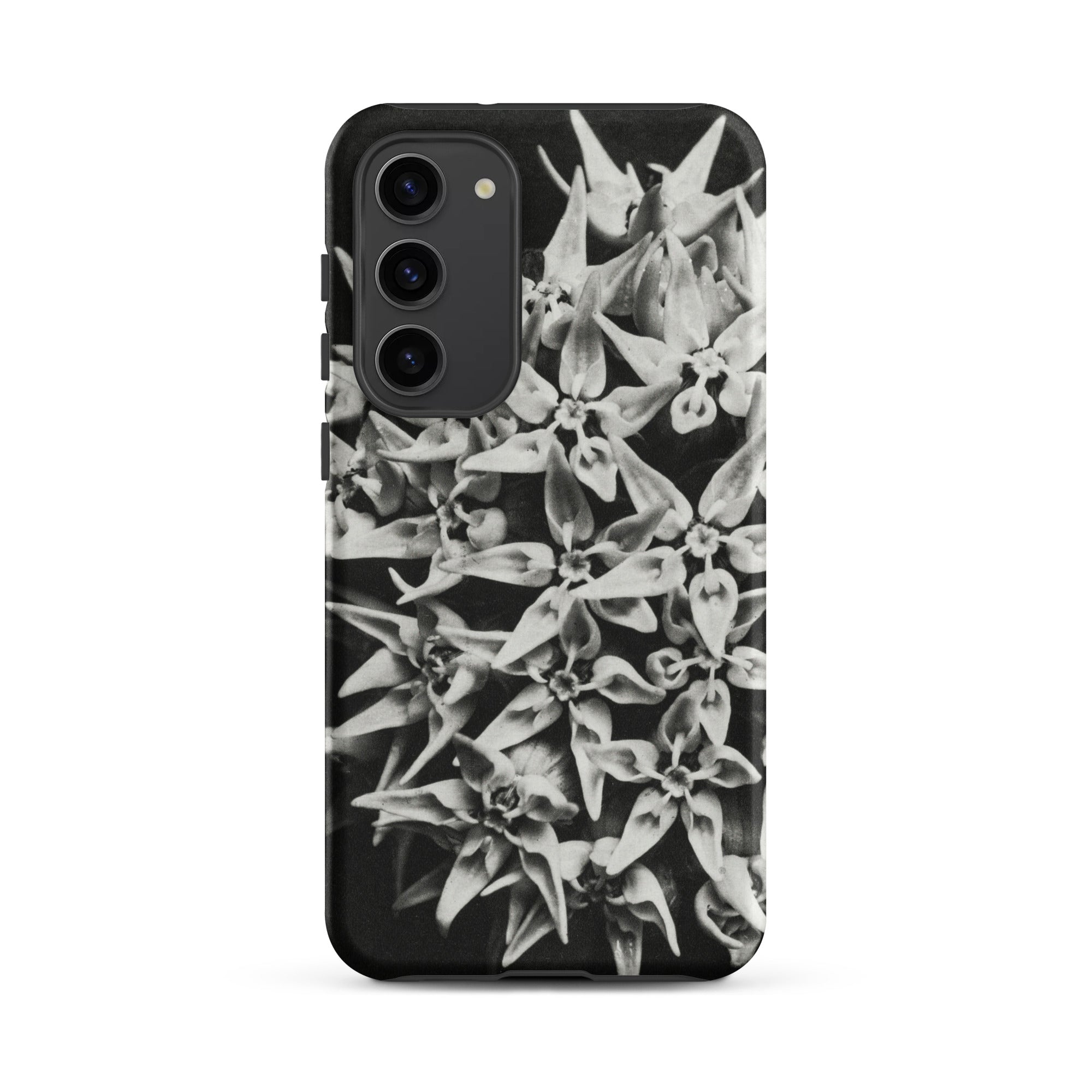 Asclepias Speciosa Karl Blossfeldt Samsung Case, Galaxy S23 Plus / Matte, Black Smartphone Monochrome Floral Design