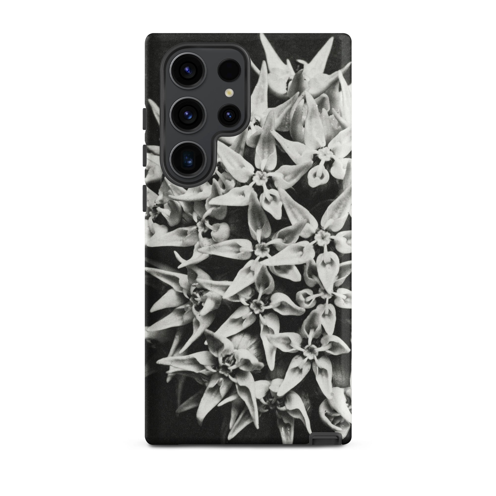 Asclepias Speciosa Karl Blossfeldt Samsung Case, Galaxy S23 Ultra / Matte, Black Smartphone Case Monochrome Floral Design