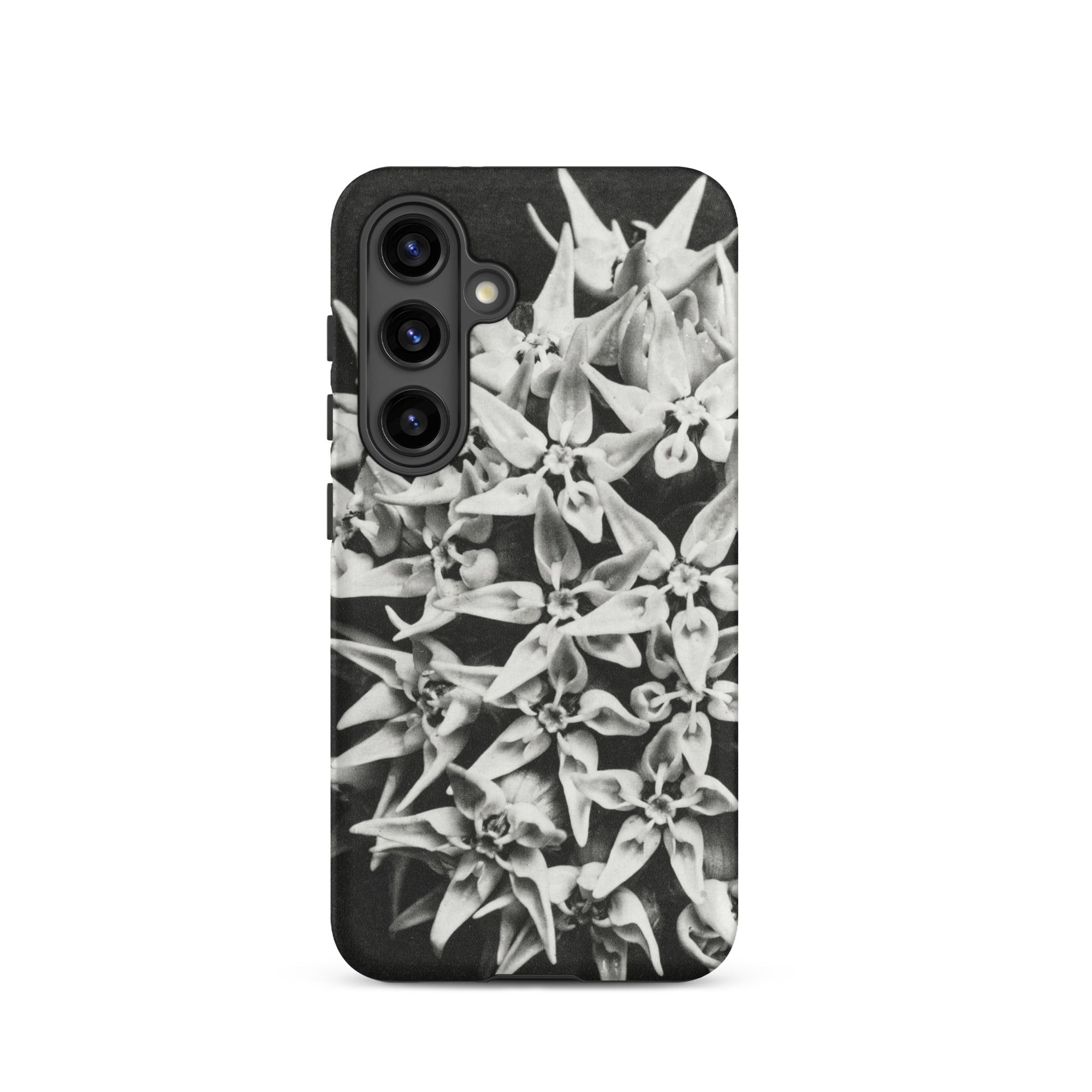 Asclepias Speciosa Karl Blossfeldt Samsung Case, Galaxy S24 / Matte, Black White Floral Pattern Smartphone Case