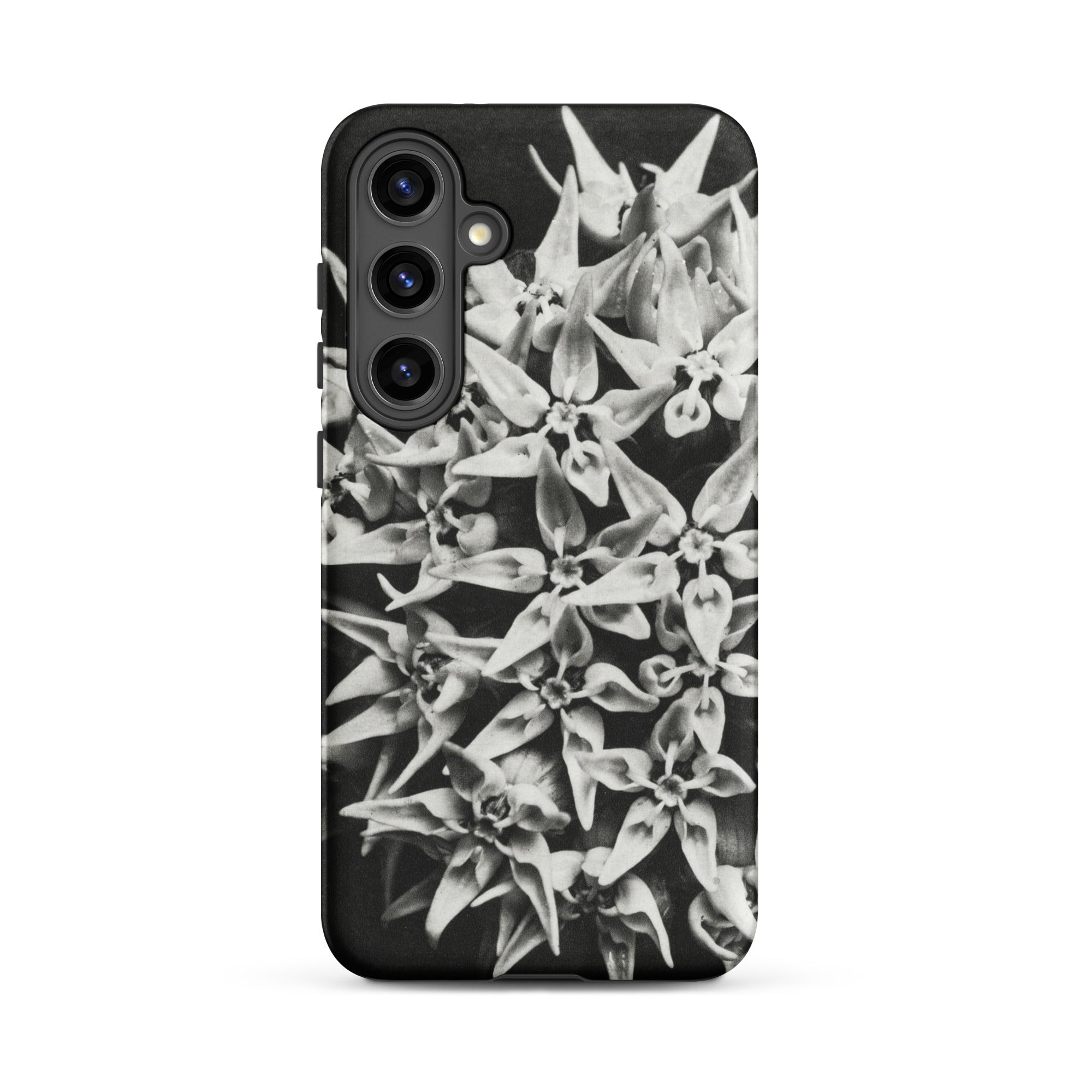 Asclepias Speciosa Karl Blossfeldt Samsung Case, Galaxy S24 Plus / Matte, Black White Floral Pattern Phone Case
