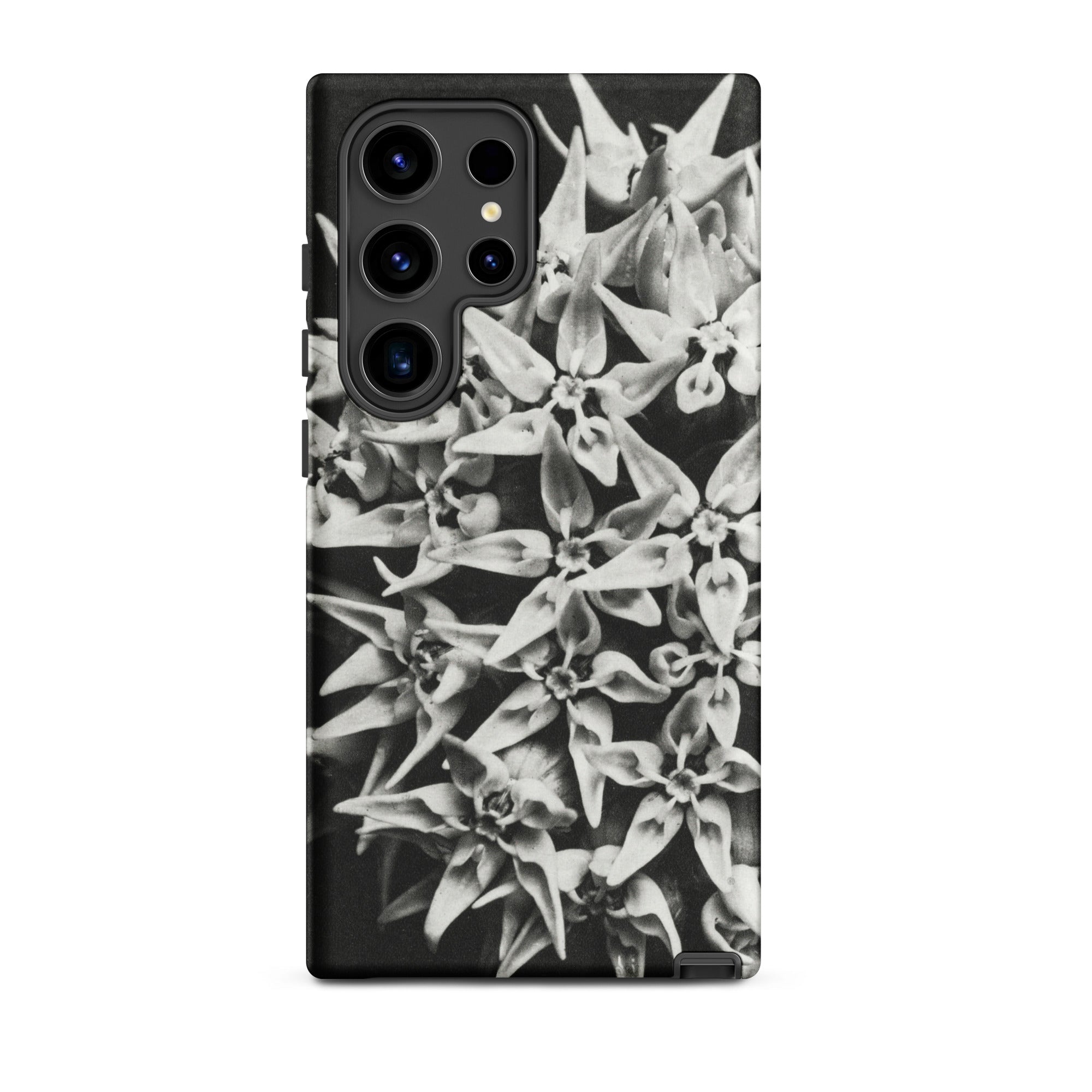 Asclepias Speciosa Karl Blossfeldt Samsung Case, Galaxy S24 Ultra / Matte, Black Phone Case Monochrome Floral Pattern Visible Camera
