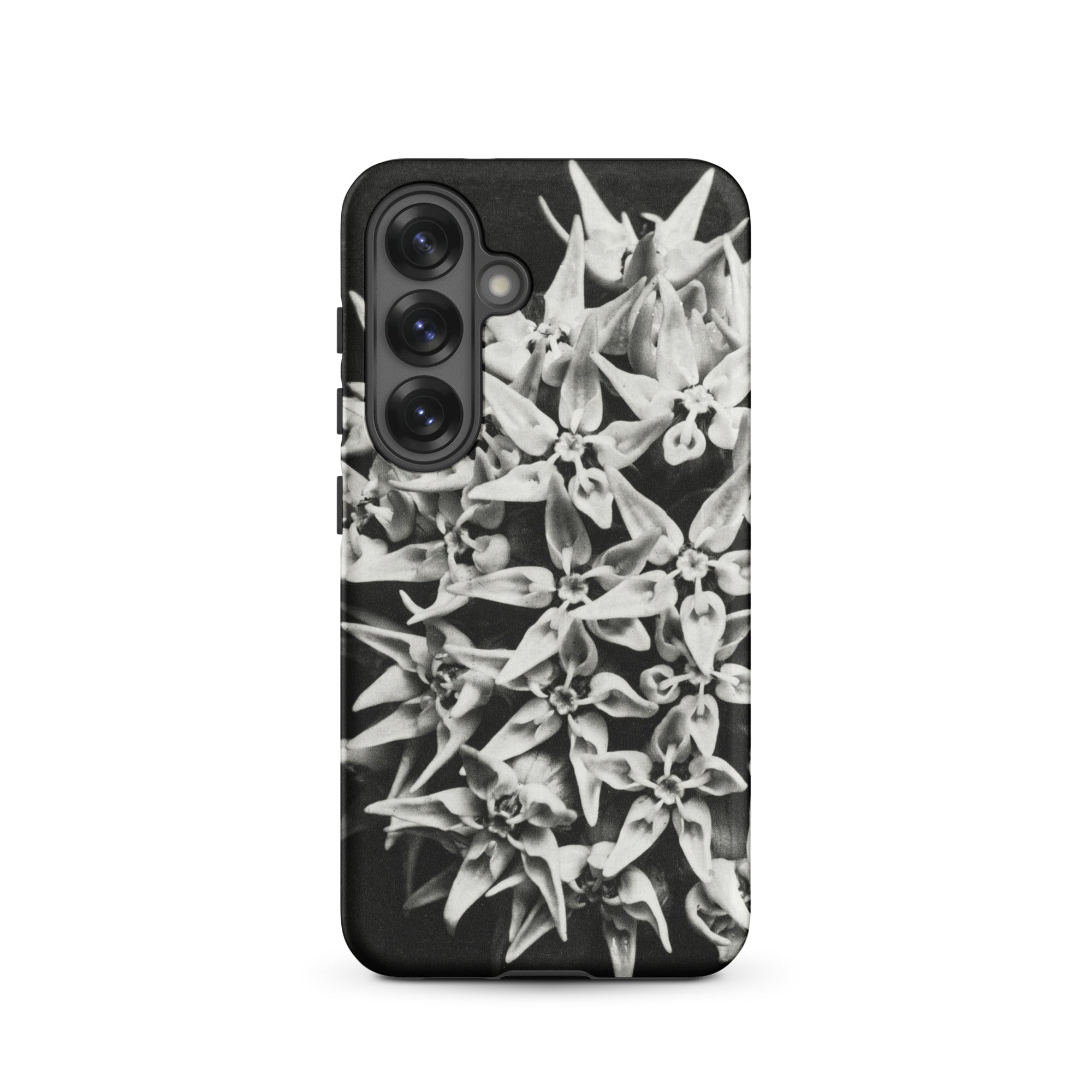 Asclepias Speciosa Karl Blossfeldt Samsung Case, Galaxy S25 / Matte, Smartphone Case Black White Floral Pattern