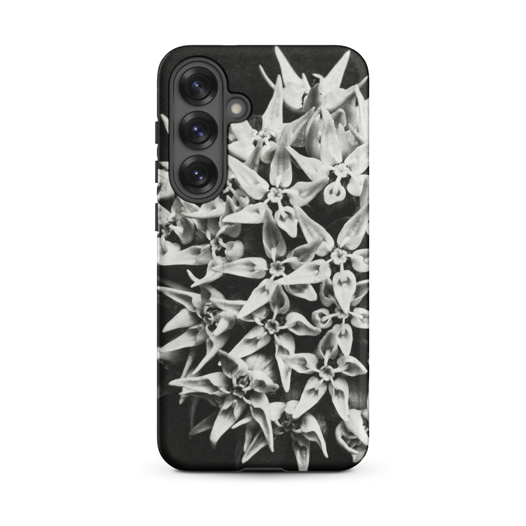 Asclepias Speciosa Karl Blossfeldt Samsung Case, Galaxy S25 Plus / Matte, Black White Floral Patterned Smartphone Case Triple Camera
