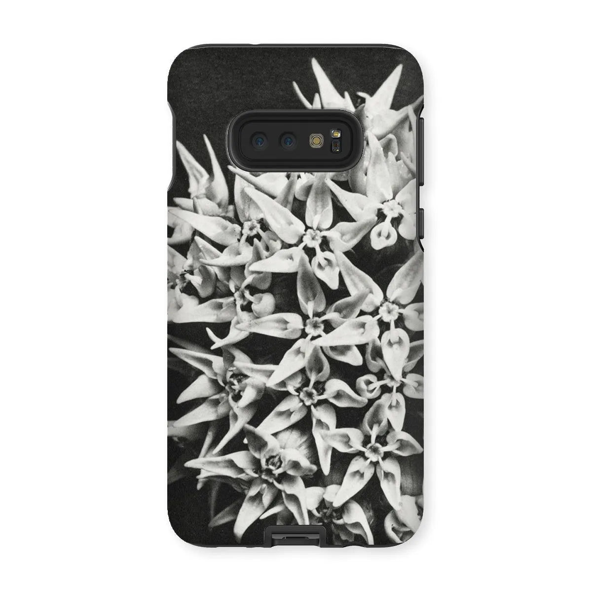 Asclepias Speciosa (showy Milkweed) - Karl Blossfeldt Tough Phone Case - Samsung Galaxy S10e / Matte - Mobile Phone