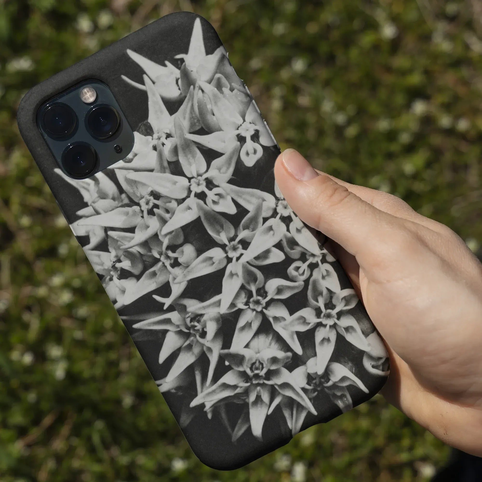 Asclepias Speciosa (showy Milkweed) - Karl Blossfeldt Tough Phone Case - Mobile Phone Cases - Aesthetic Art