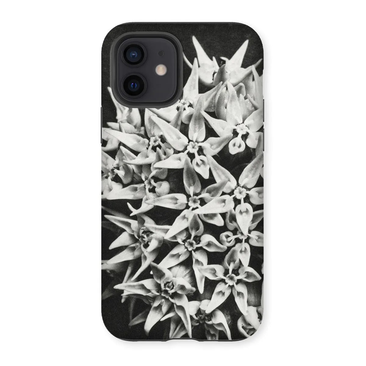 Asclepias Speciosa (showy Milkweed) - Karl Blossfeldt Tough Phone Case - Iphone 12 / Matte - Mobile Phone Cases