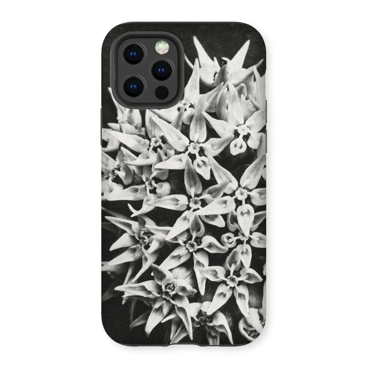 Asclepias Speciosa (showy Milkweed) - Karl Blossfeldt Tough Phone Case - Iphone 12 Pro / Matte - Mobile Phone Cases