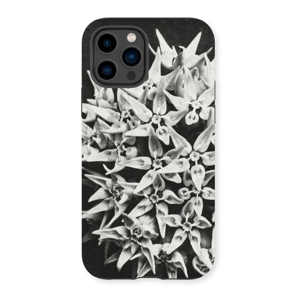 Asclepias Speciosa (showy Milkweed) - Karl Blossfeldt Tough Phone Case - Iphone 14 Pro / Matte - Mobile Phone Cases