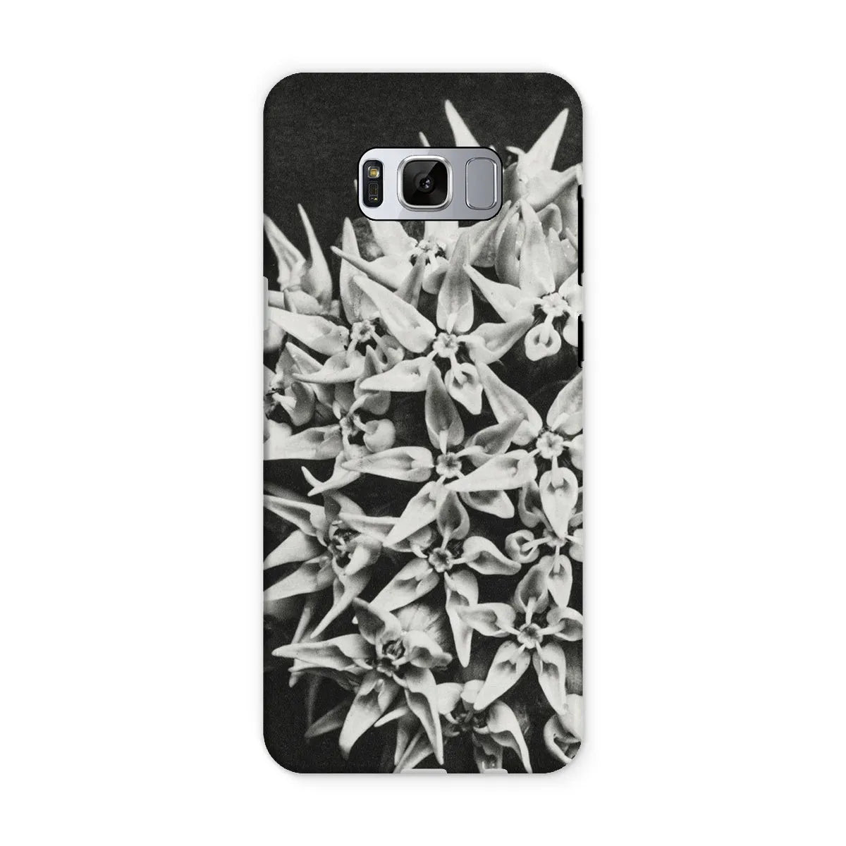 Asclepias Speciosa (showy Milkweed) - Karl Blossfeldt Tough Phone Case - Samsung Galaxy S8 / Matte - Mobile Phone Cases