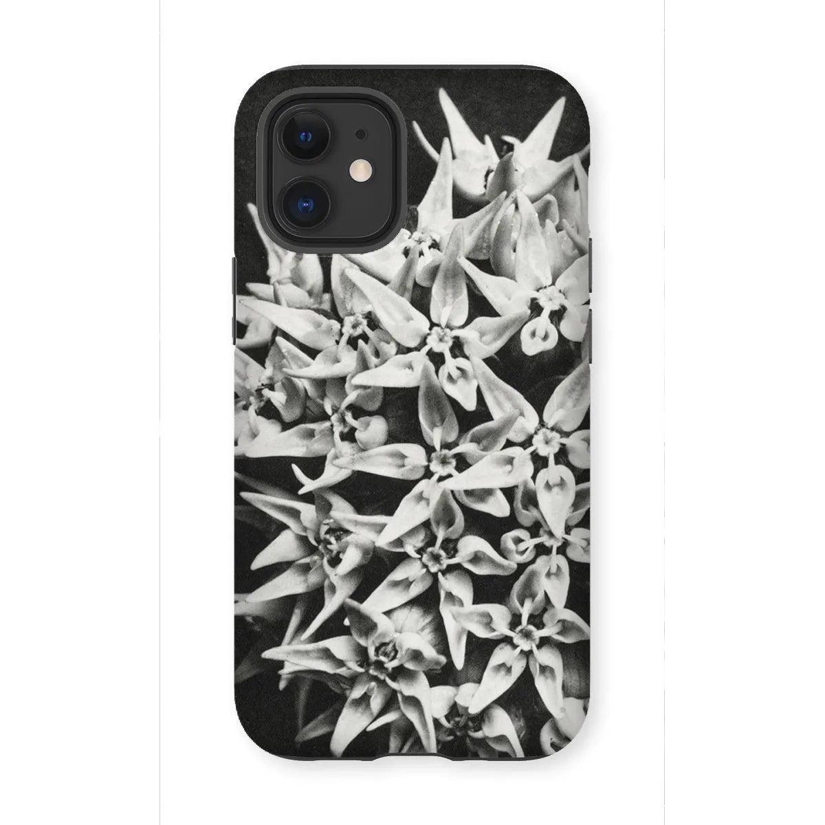 Asclepias Speciosa (showy Milkweed) - Karl Blossfeldt Tough Phone Case - Iphone 12 Mini / Matte - Mobile Phone Cases