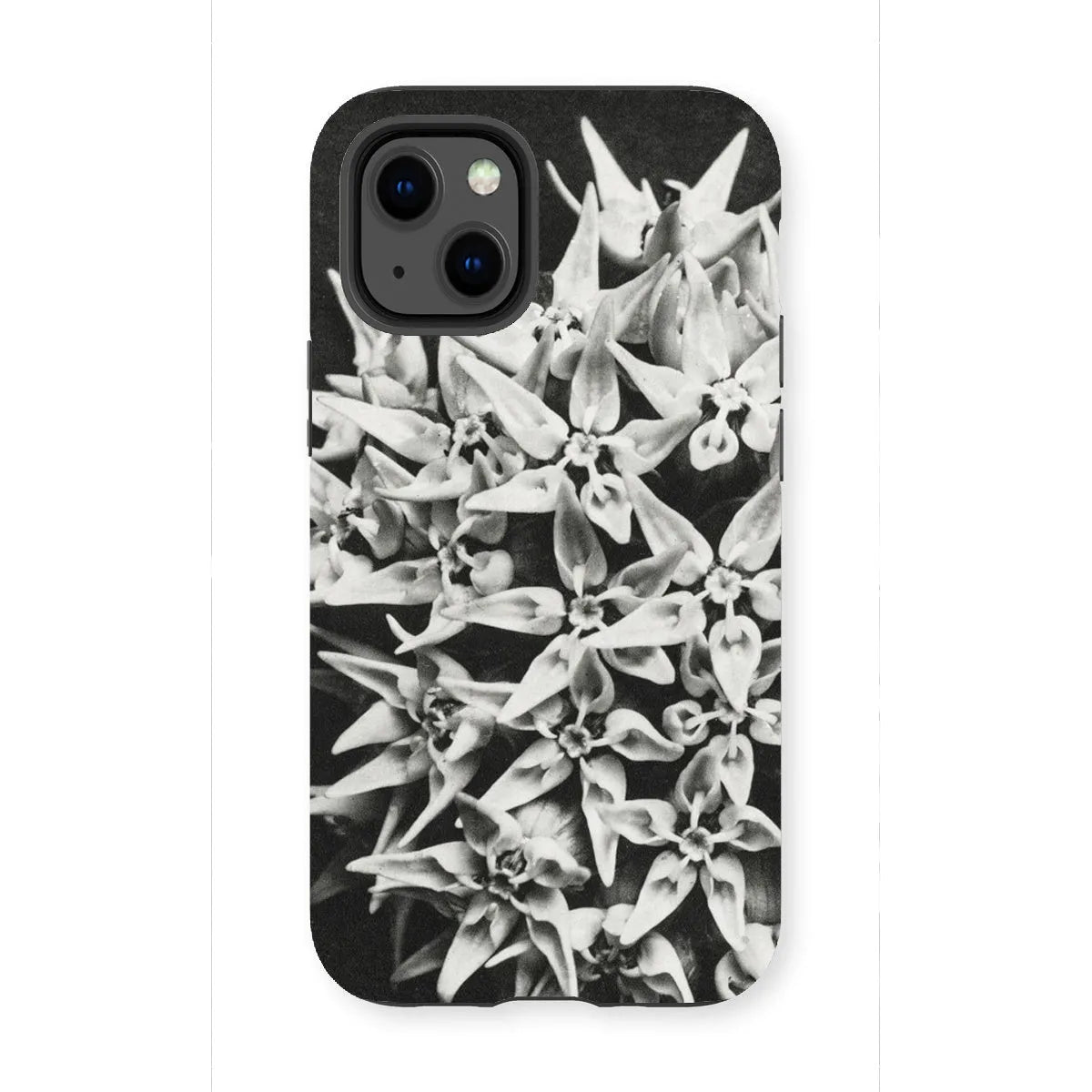Asclepias Speciosa (showy Milkweed) - Karl Blossfeldt Tough Phone Case - Iphone 13 Mini / Matte - Mobile Phone Cases