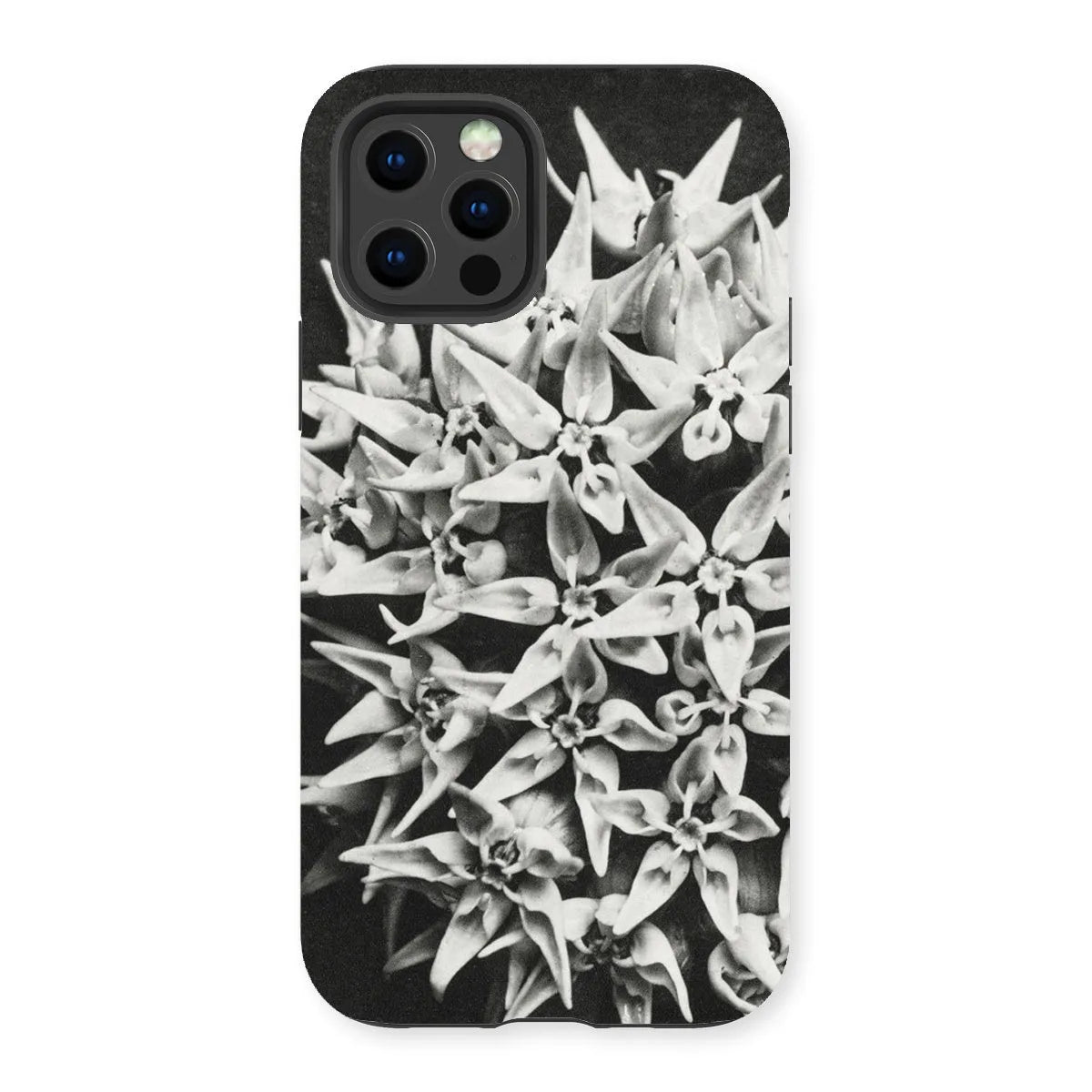Asclepias Speciosa (showy Milkweed) - Karl Blossfeldt Tough Phone Case - Iphone 13 Pro / Matte - Mobile Phone Cases