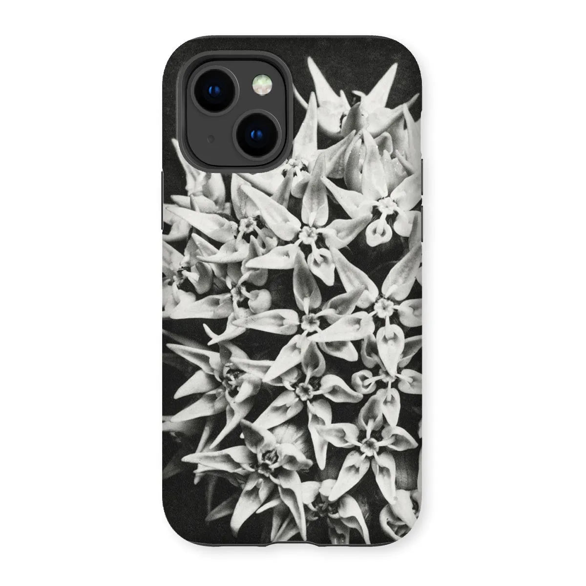 Asclepias Speciosa (showy Milkweed) - Karl Blossfeldt Tough Phone Case - Iphone 14 / Matte - Mobile Phone Cases