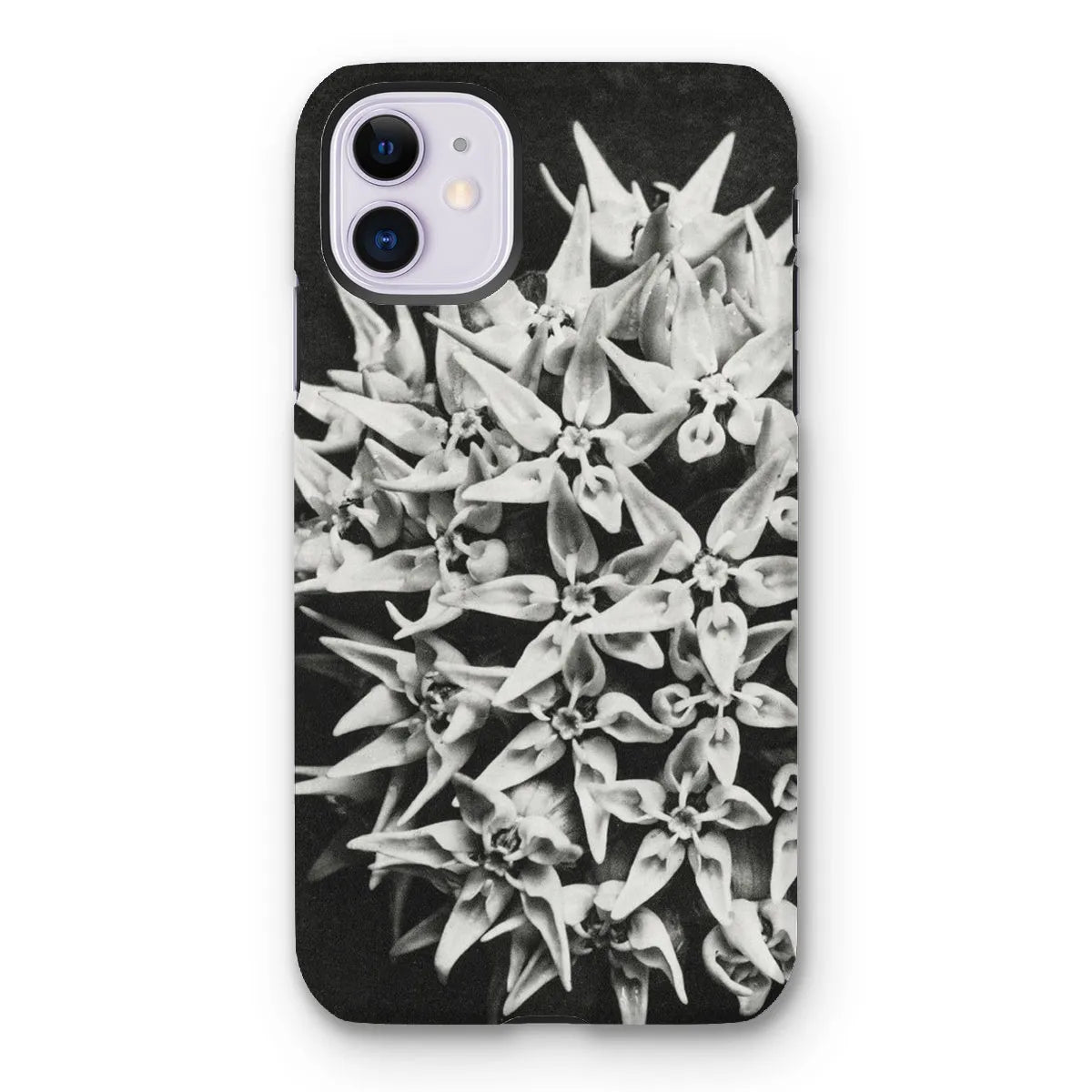 Asclepias Speciosa (showy Milkweed) - Karl Blossfeldt Tough Phone Case - Iphone 11 / Matte - Mobile Phone Cases