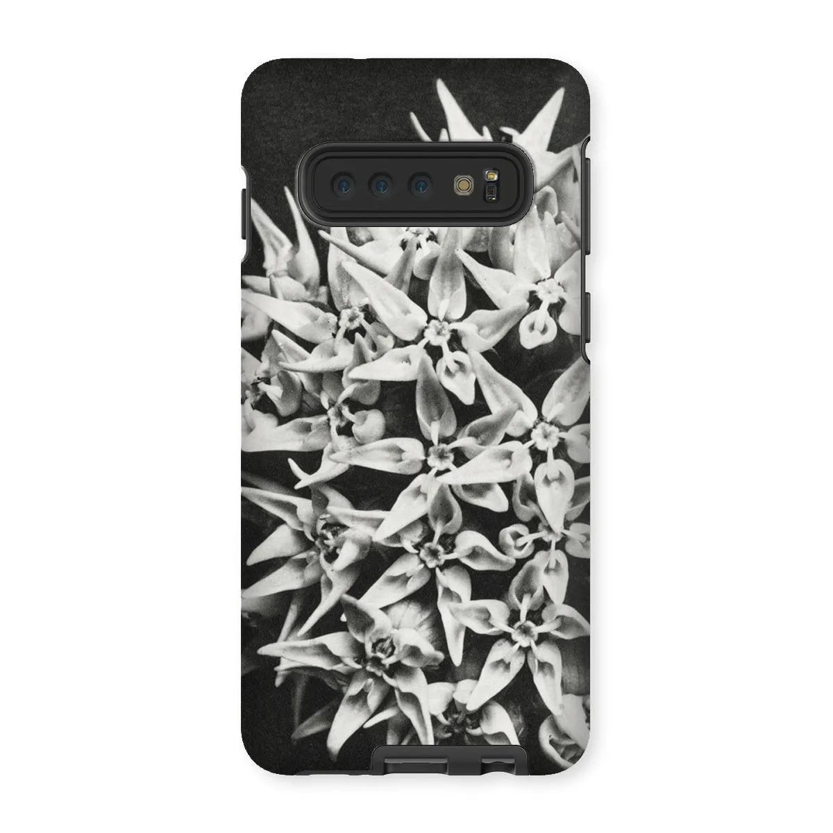 Asclepias Speciosa (showy Milkweed) - Karl Blossfeldt Tough Phone Case - Samsung Galaxy S10 / Matte - Mobile Phone