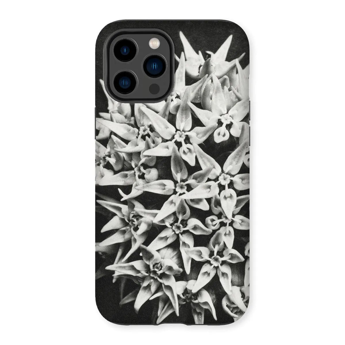 Asclepias Speciosa (showy Milkweed) - Karl Blossfeldt Tough Phone Case - Iphone 14 Pro Max / Matte - Mobile Phone Cases