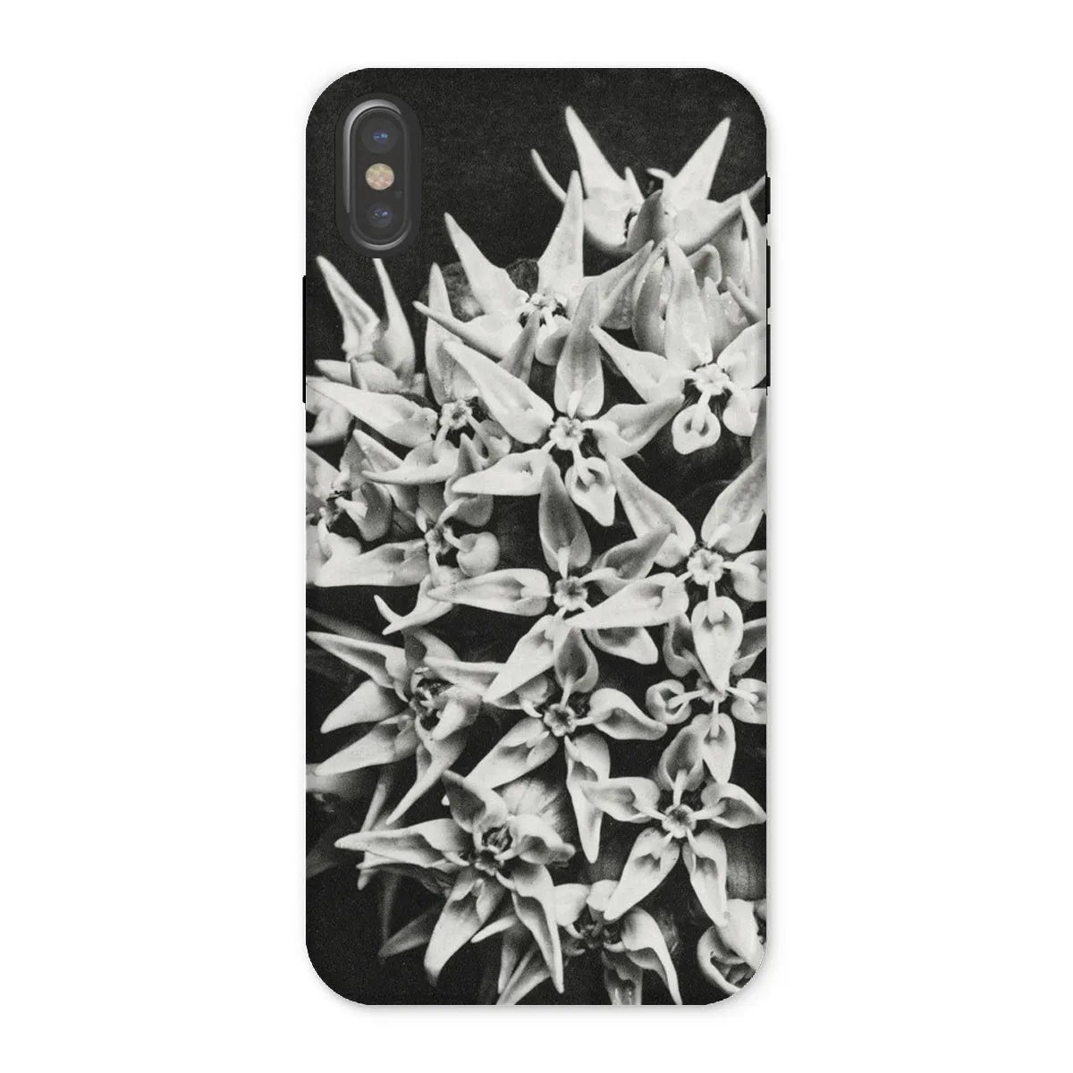 Asclepias Speciosa (showy Milkweed) By Karl Blossfeldt Tough Phone Case - Iphone x / Matte - Mobile Phone Cases