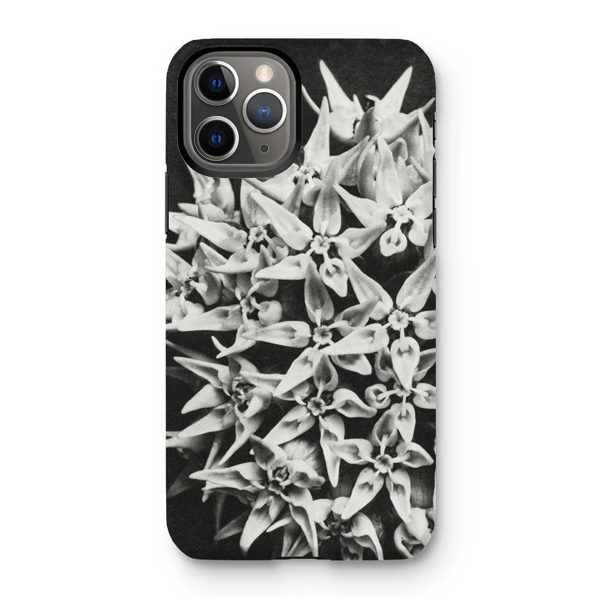 Asclepias Speciosa (showy Milkweed) By Karl Blossfeldt Tough Phone Case - Iphone 11 Pro / Matte - Mobile Phone Cases
