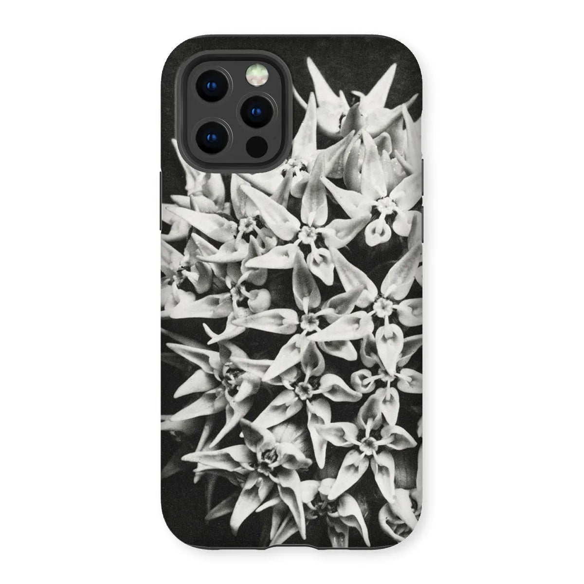 Asclepias Speciosa (showy Milkweed) By Karl Blossfeldt Tough Phone Case - Iphone 12 Pro / Matte - Mobile Phone Cases