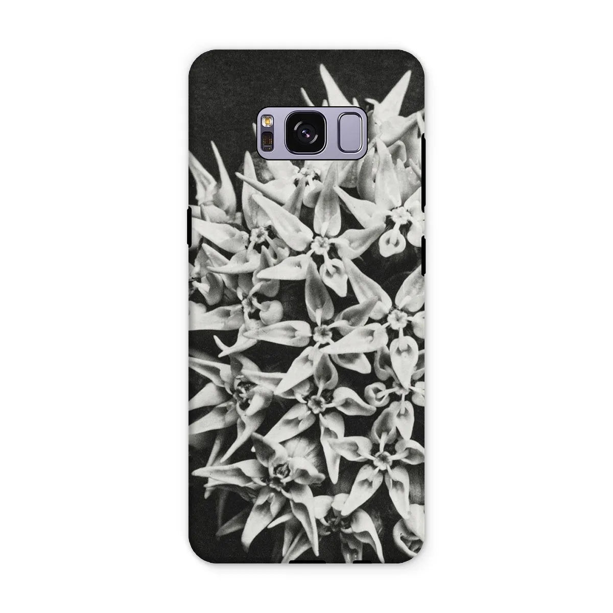 Asclepias Speciosa (showy Milkweed) By Karl Blossfeldt Tough Phone Case - Samsung Galaxy S8 Plus / Matte - Mobile Phone