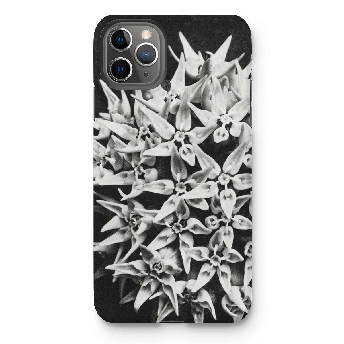 Asclepias Speciosa (showy Milkweed) By Karl Blossfeldt Tough Phone Case - Iphone 11 Pro Max / Matte - Mobile Phone