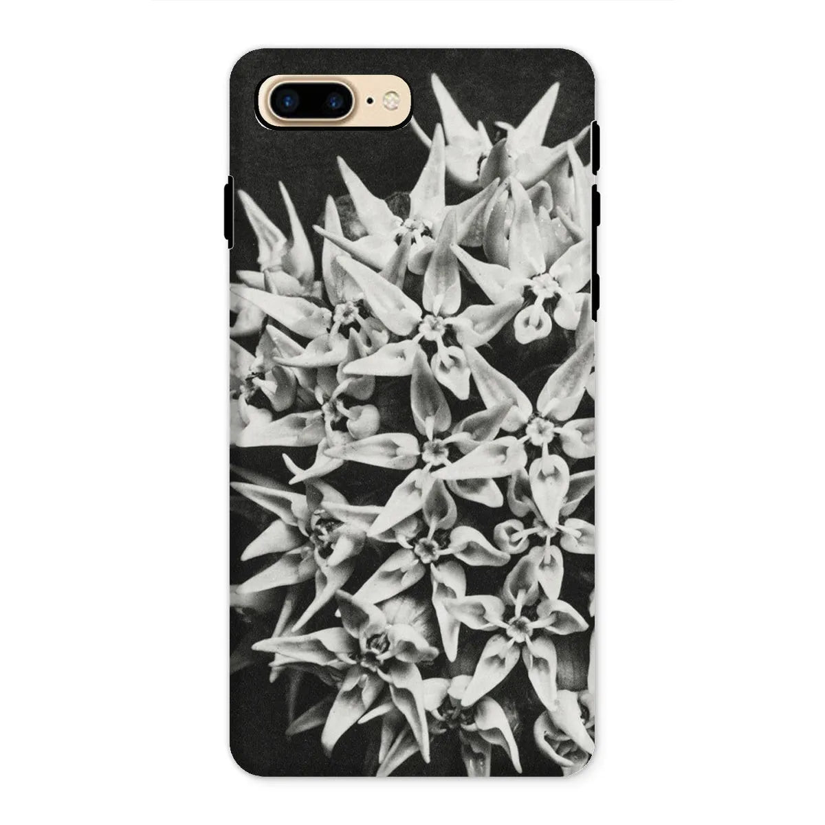 Asclepias Speciosa (showy Milkweed) By Karl Blossfeldt Tough Phone Case - Iphone 8 Plus / Matte - Mobile Phone Cases