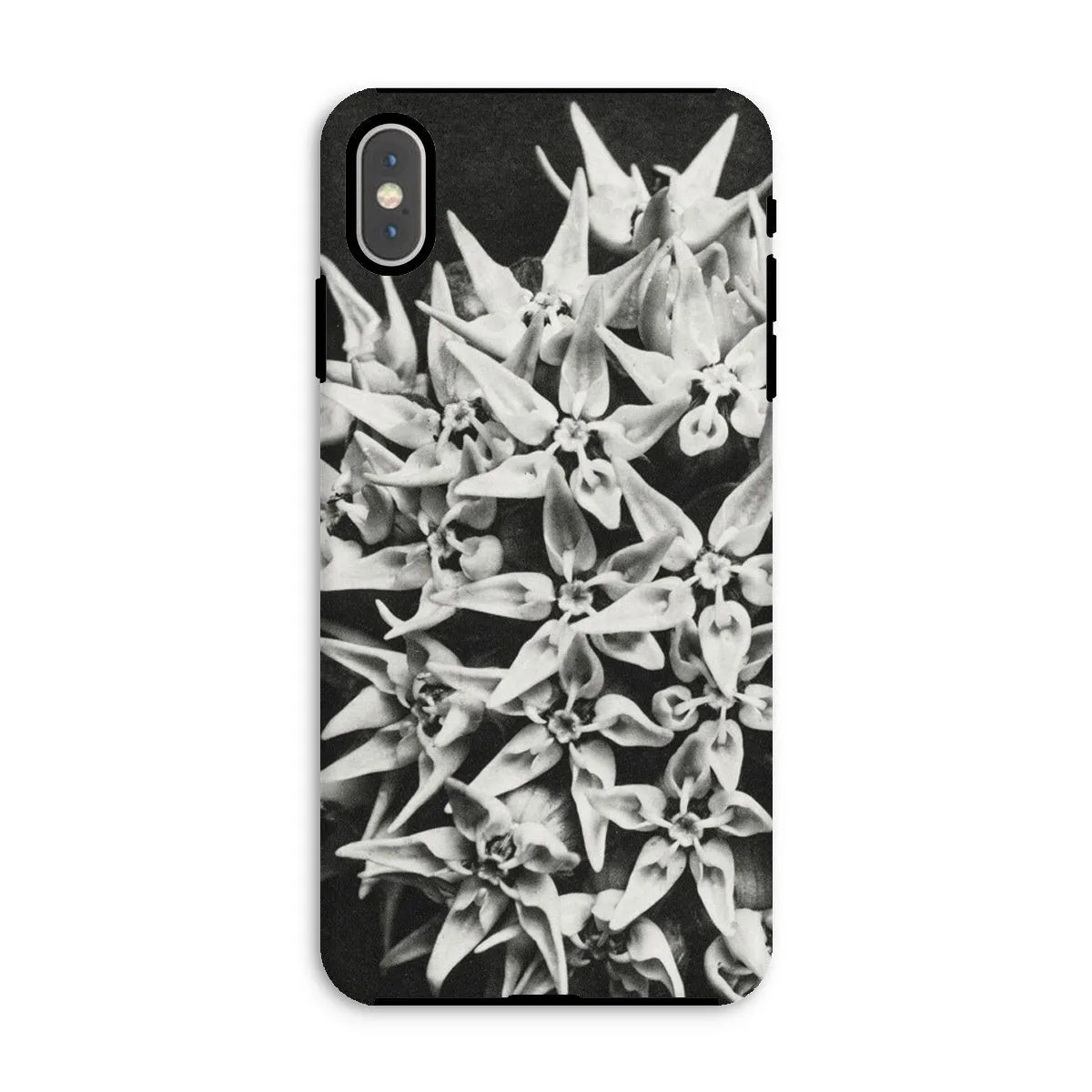 Asclepias Speciosa (showy Milkweed) By Karl Blossfeldt Tough Phone Case - Iphone Xs Max / Matte - Mobile Phone Cases