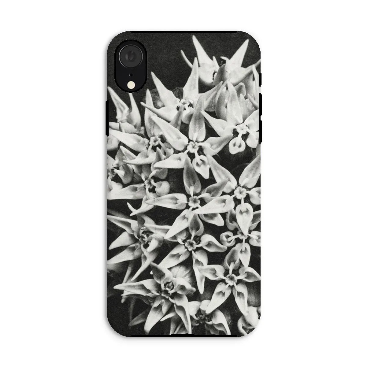 Asclepias Speciosa (showy Milkweed) By Karl Blossfeldt Tough Phone Case - Iphone Xr / Matte - Mobile Phone Cases