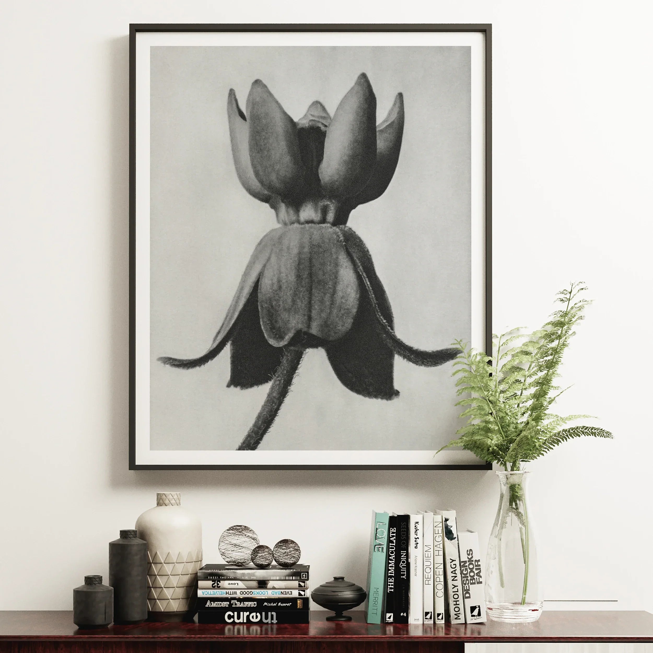 Asclepias Syriaca (common Milkweed) - Karl Blossfeldt Art Print 16’’x20’’ Posters Prints & Visual Artwork