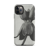 Asclepias Syriaca (common Milkweed) - Karl Blossfeldt Iphone Case, 11 Pro Max / Matte, Black White Floral Phone Case