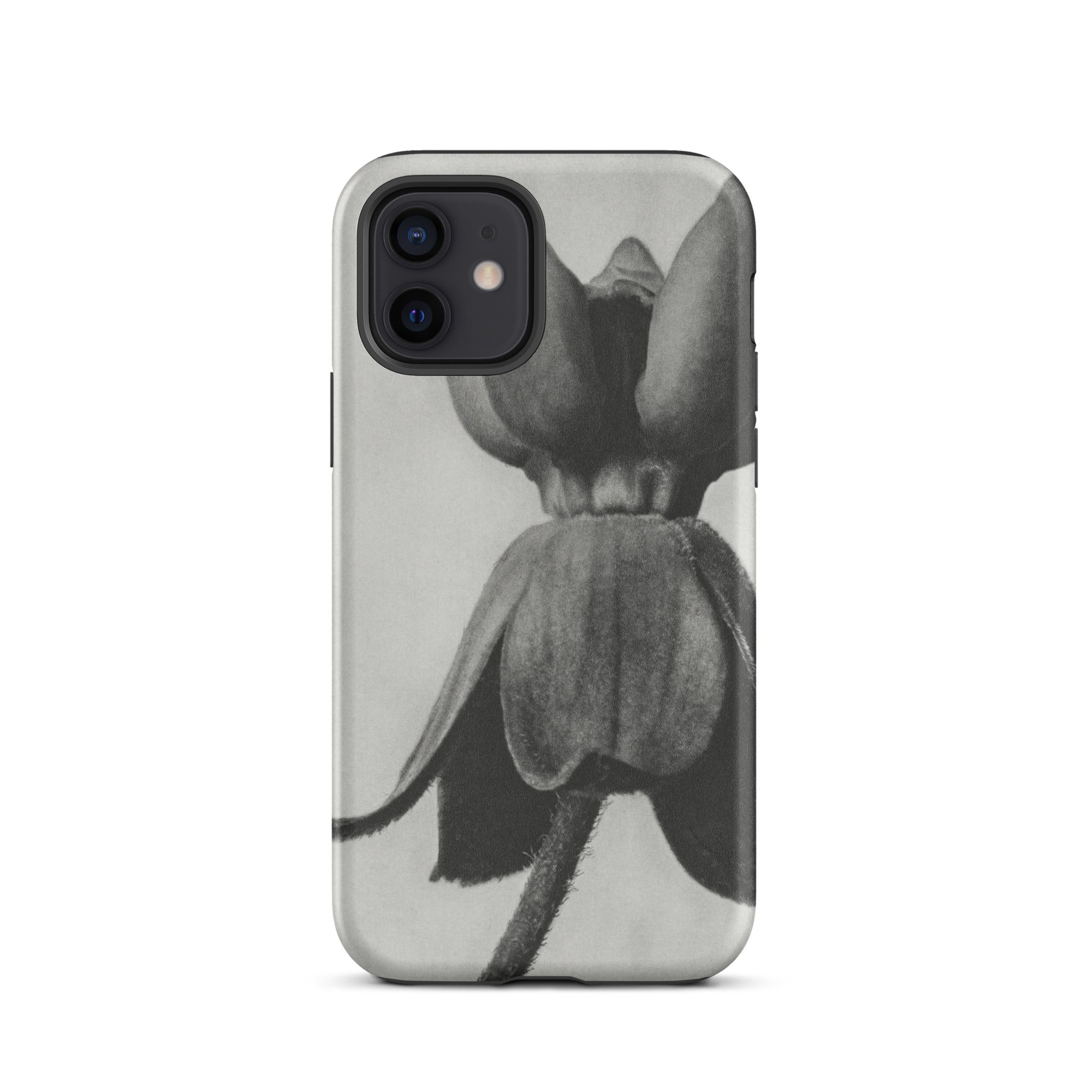Asclepias Syriaca (common Milkweed) Karl Blossfeldt Iphone Case, 12 / Matte, Black White Floral Phone Case